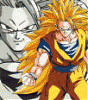   kakarott ssj